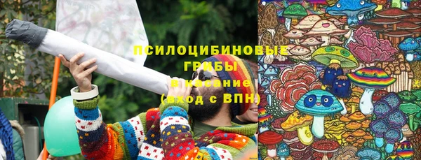прущие грибы Абдулино
