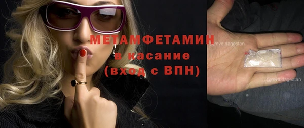 прущие грибы Абдулино