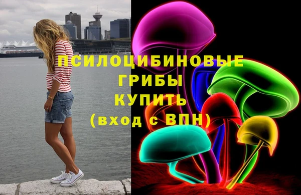 apvp Алексин