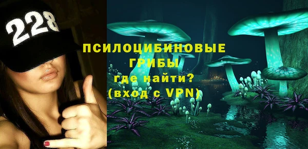 apvp Алексин