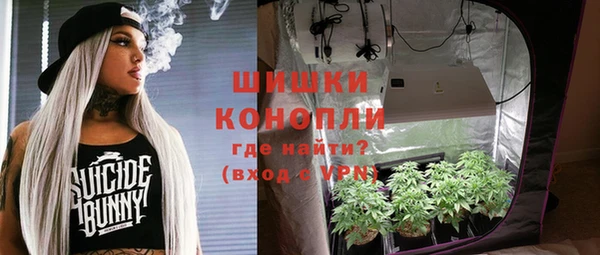 прущие грибы Абдулино