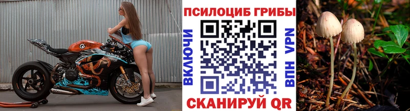 Псилоцибиновые грибы мухоморы  MEGA   Нюрба 
